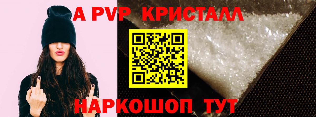 Альфа ПВП СК Новороссийск