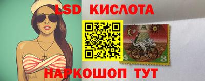 спайс Тара