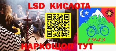 спайс Тара