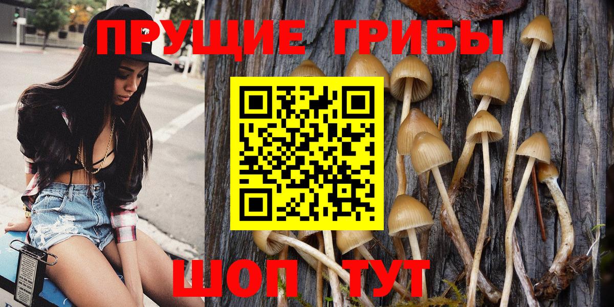 Новороссийск  Галлюциногенные грибы GOLDEN TEACHER  Вход с VPN 